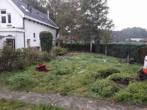 Verouderde tuin Uffelte