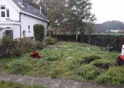 Verouderde tuin Uffelte